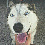 Profile Picture of Alexia Ayala (@ale_1011) on Instagram