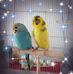 Profile Picture of Vera Djuric (@vera.djuric.338) on Facebook