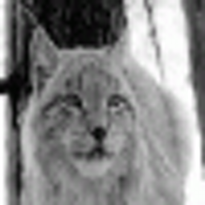 Profile Picture of Jeff Wiseman (@whiterosed) on Twitter