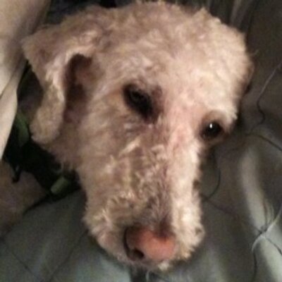 Profile Picture of Walter Davis (@waltdphila) on Twitter