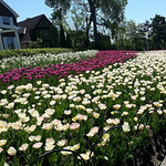 Profile Picture of Michelle Watson (@michelle beth watson) on Flickr