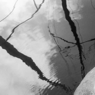 Profile Picture of scott robertson (@_scottrobertson) on Instagram