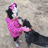 Profile Picture of Justin Kohl (@justin-kohl-1) on Quora