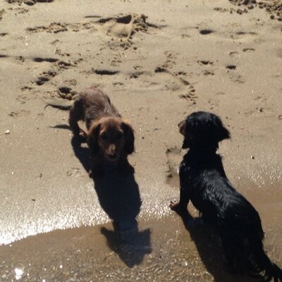 Profile Picture of Matthew Daykin (@Daykes77) on Twitter