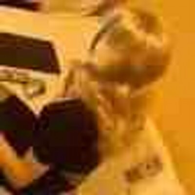 Profile Picture of Tracy Hayes (@tracy167) on Twitter