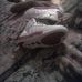 Profile Picture of Mark Shuford (@mark.shuford.395) on Facebook