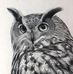 Profile Picture of Leon Pedersen (@leon.pedersen.904) on Facebook