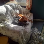 Profile Picture of Jim Senkbeil (@jim.senkbeil) on Facebook