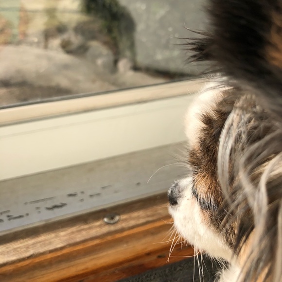 Profile Picture of Melissa Landgraf (@melissalandgraf) on Poshmark