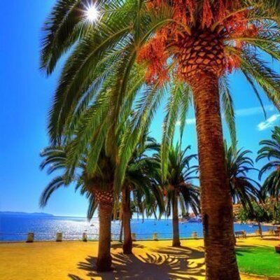 Renee Monaco - Twitter Profile Picture of Renee Monaco (@sun1flwr) on Twitter