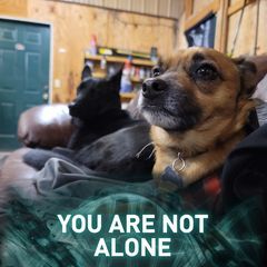 Profile Picture of James Stierwalt873 (@schecteroj) on Tiktok