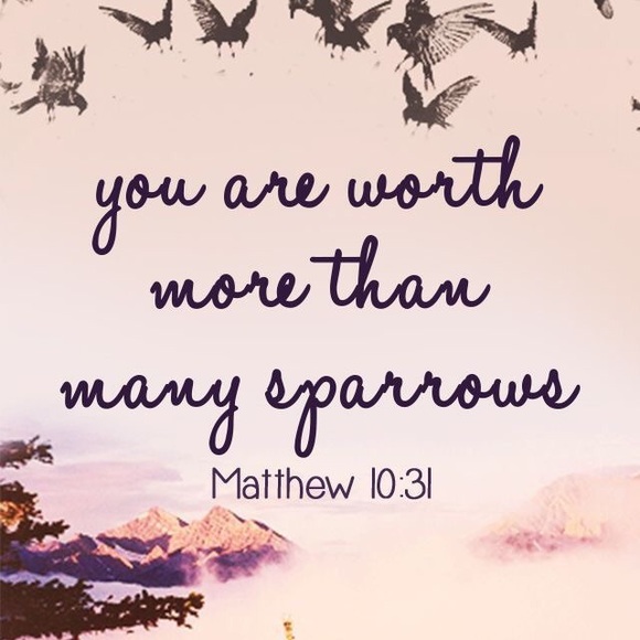 Profile Picture of Chelsea Scheiderer (@chelsrenea22) on Poshmark