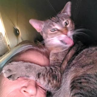 Profile Picture of tammy willett (@willett.tammy) on Instagram