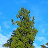 Profile Picture of Adrian Picard (@adrian-picard-3) on Quora