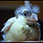 Profile Picture of Drackemoor (@drackemoor) on Flickr