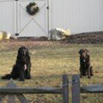 Martin Benzing - Instagram Profile Picture of Martin Benzing (@martinbenzing) on Instagram