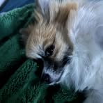 Profile Picture of Logan Mcswain (@Logan-Mcswain) on Facebook