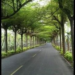 Profile Picture of Flor Imelda Renderos Escobar (@ImeldaRenderos) on Twitter