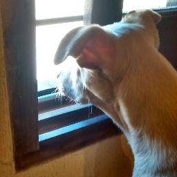 Profile Picture of Alejandro Bosch (@Ale_Bosch_lelz) on Twitter