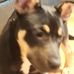 Profile Picture of Joseph Cromwell (@joseph.cromwell.904) on Facebook