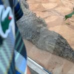 Profile Picture of Mounir Carter (@portogas.ace.3304) on Facebook