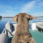 Profile Picture of Chris Yardley (@ceyardley) on Instagram