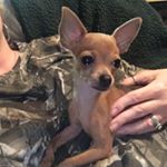 Profile Picture of Kim McClinton Price (@kimmyprice69) on Instagram