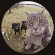 Profile Picture of Paul Tan (@paultan9805) on Youtube