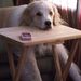 Profile Picture of Terry Unrue Wight (@tlwight) on Pinterest