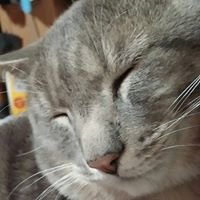 Profile Picture of Cathy Sample (@gabbygirl1062) on Twitter