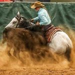 Profile Picture of ↠ T y l o r  T o d d ↞ (@tylor_todd_) on Instagram