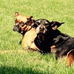 Profile Picture of Lori Michels (@lakerlori) on Instagram