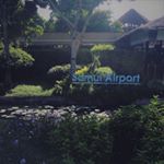 Profile Picture of Thomas Xie (@thomas_fs) on Instagram