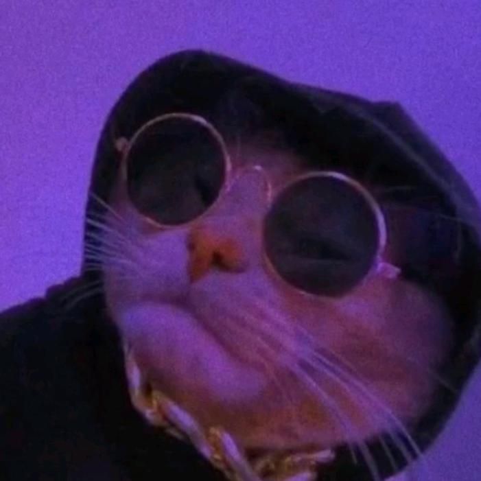 Profile Picture of LisaHolt (@ryleeotvgum) on Tiktok