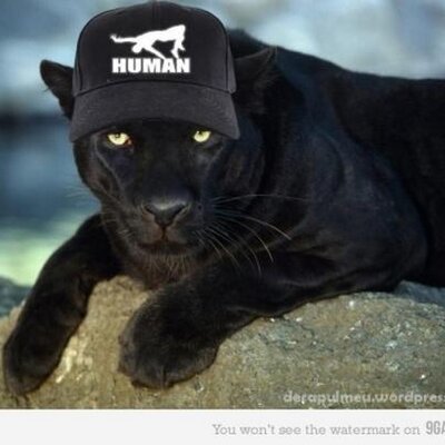 Profile Picture of Alina Alvarez (@alinaalvarez6) on Twitter