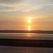 Profile Picture of Adam Thode (@adamthode) on Pinterest
