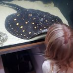 Profile Picture of Jeff Jilka (@jeff.jilka) on Facebook