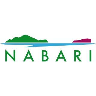 Profile Picture of Nabari (@NabariWorld) on Twitter