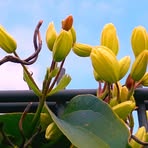 Profile Picture of Michael Madge (@Michael-Madge) on Facebook