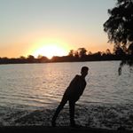 Adam.Kamen - Instagram Profile Picture of Adam.Kamen (@crossy_roadkill) on Instagram