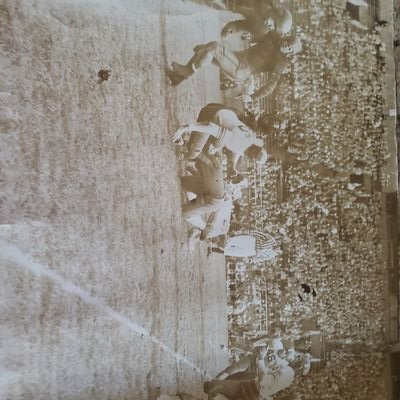 Profile Picture of Bob Nanni (@Gatorsfollower) on Twitter