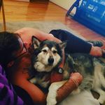 Profile Picture of Andrew Sowder (@geaux_tigers1324) on Instagram