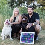 Profile Picture of Clint Stevens (@cmsplastering) on Instagram