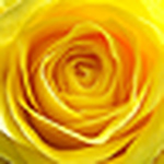 Profile Picture of Mario  Rossi (@obiettivo16) on Flickr