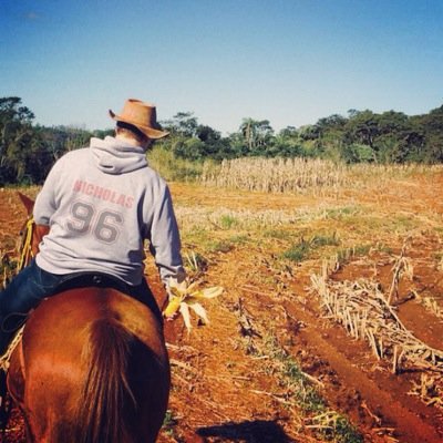 Profile Picture of Nicholas.m (@NicholasMeyer) on Twitter