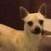 Profile Picture of Buddy Faulkner (@buddy.faulkner.75) on Facebook