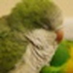 Profile Picture of Nick.liu.92 (@nick.liu.92) on Flickr