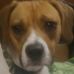 Profile Picture of Deanna Kirkendall (@deanna.kirkendall.75) on Facebook