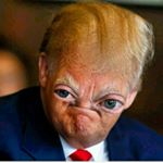 Profile Picture of Shane Askew (@yeh_yeh_my_guy) on Instagram