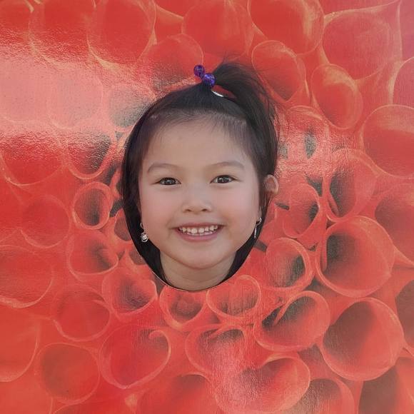 Profile Picture of Thanh Trinh (@trinhkimthanh) on Poshmark